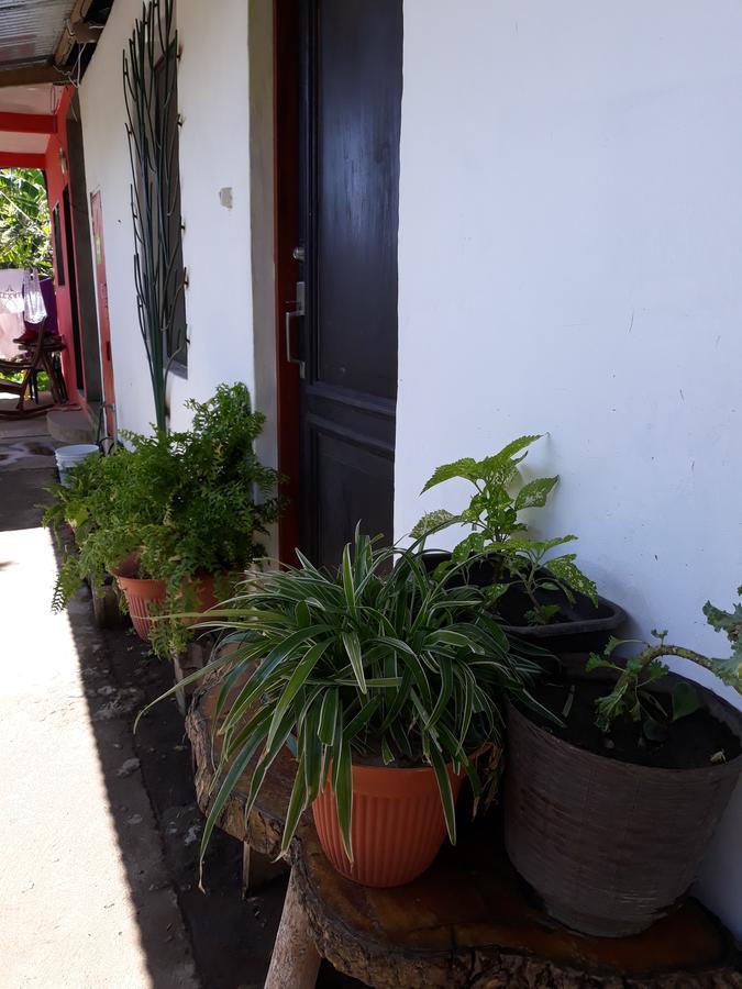 Mi Ranchito Bed & Breakfast Santa Cruz Exterior photo